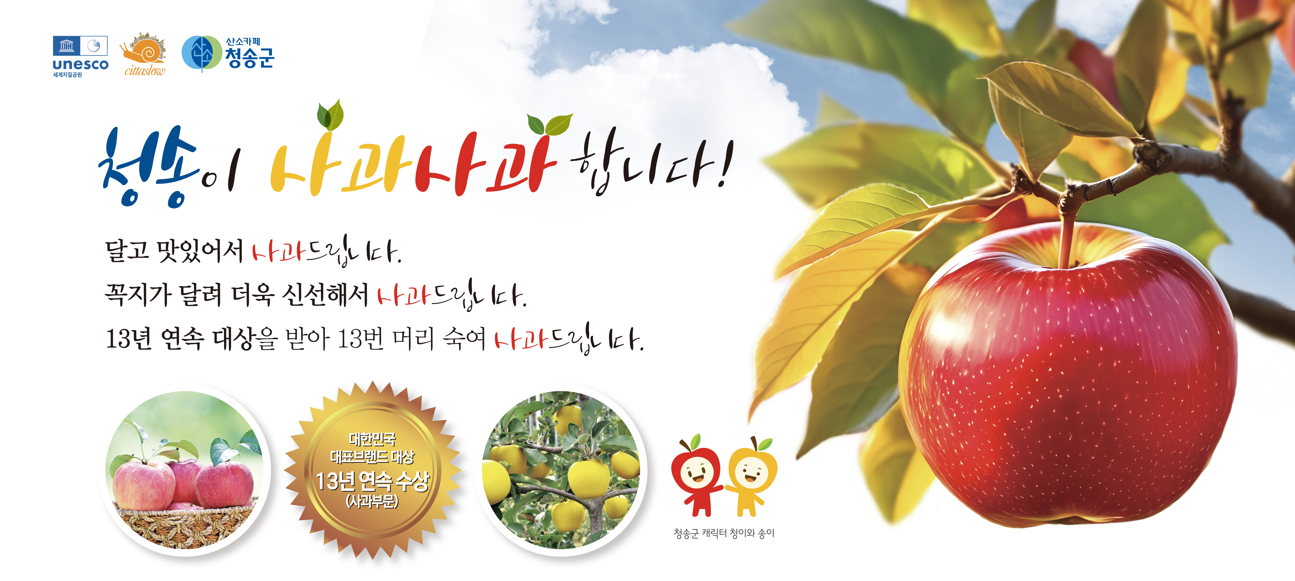 산불피해 착한관광