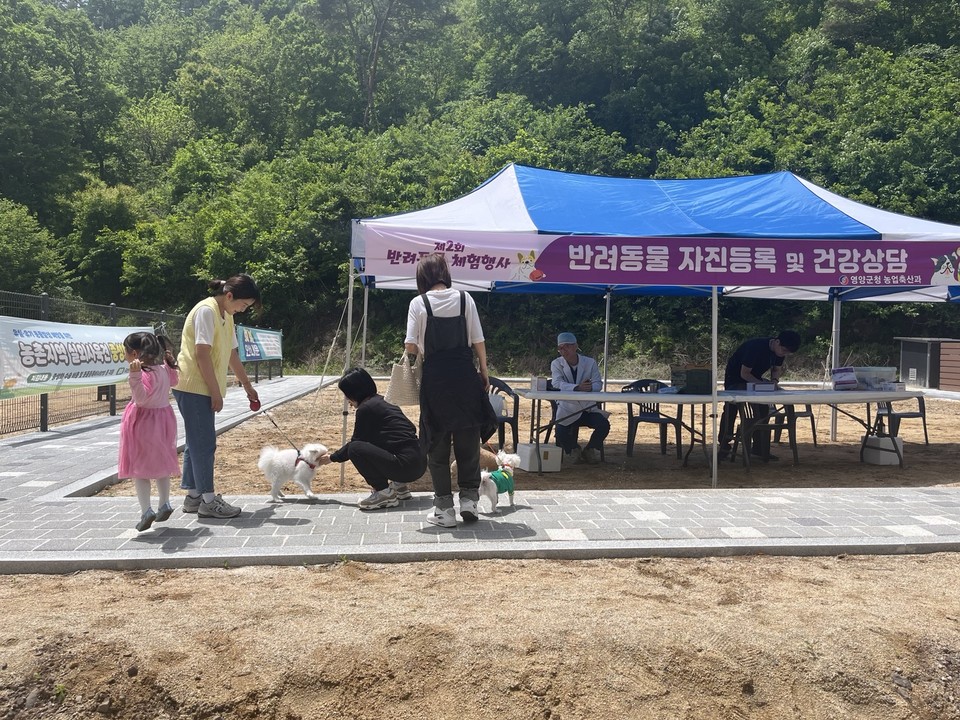 ▲제2회 반려동물 체험·프로그램 행사.(사진 영양군청 제공)