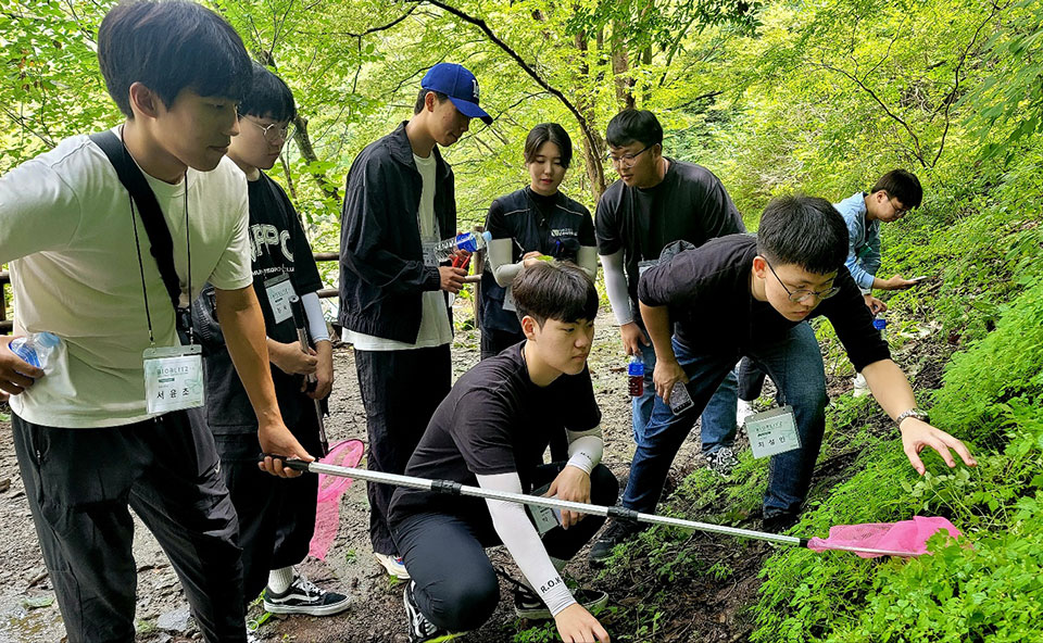 ▲국립안동대학교는 나무의사 양성과정 1기 교육생을 모집한다.(사진 국립안동대학교 제공)