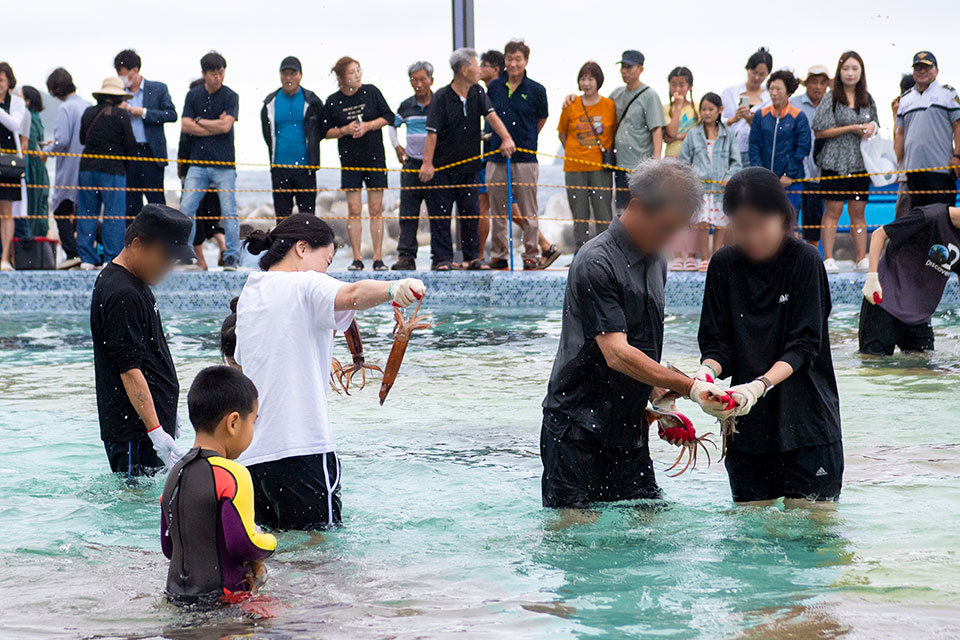 ▲울릉도 오징어 축제.(사진 경북도청 제공)